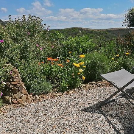 Gite Cote Nature Cabrerolles Exterior photo